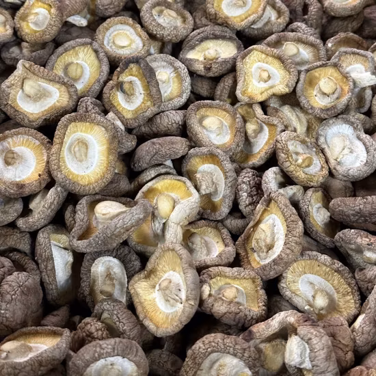 Sortieren Sie einen ganzen getrockneten Bio-Pilz für Hühnernudelsuppe
