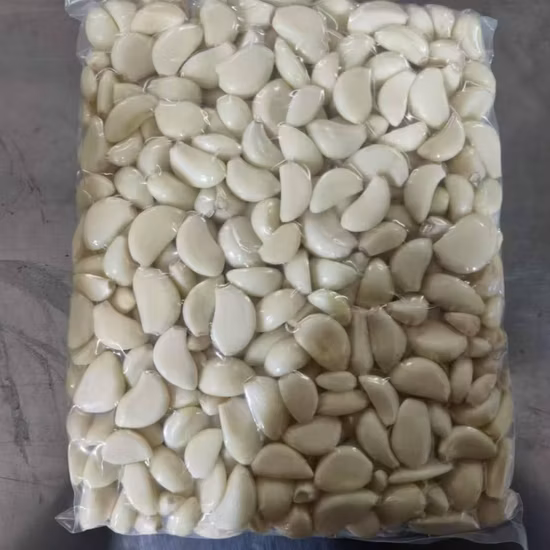 Geschälte Knoblauchzehen von höchster Qualität in eingelegtem, gesalzenem Knoblauch