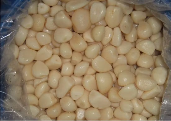 Hochwertiger eingelegter Knoblauch in Salzlake, verpackt in Gläsern